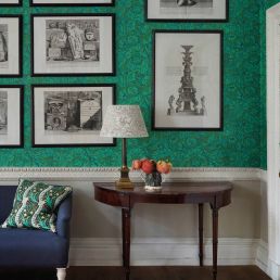 Bachelors Button Wallpaper Olive/Turquoise