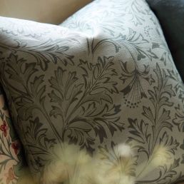 Chamomile Fabric Bayleaf