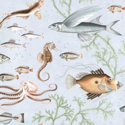 Dory Gigantica Wallpaper Seaglass