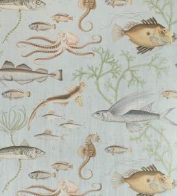 Dory Gigantica Wallpaper Seaglass