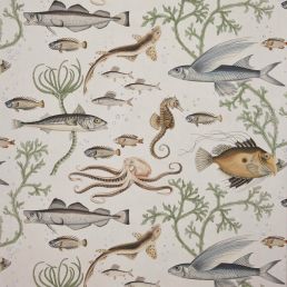 Dory Wallpaper Botanica