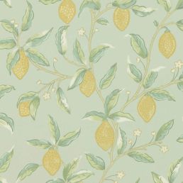 Lemon Tree Wallpaper Sage