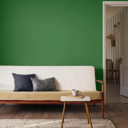 Double Boughs Signature Emulsion Paint Double Boughs