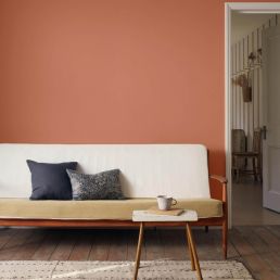 Red House Signature Emulsion Paint Red House