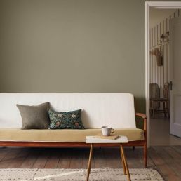 Standen Clay Signature Emulsion Paint Standen Clay