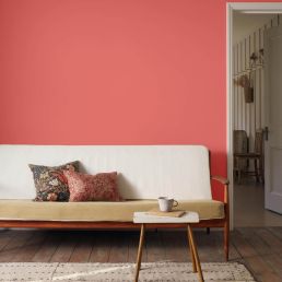 Strawberry Thief Signature Emulsion Paint Strawberry Thief