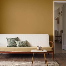 Sussex Rush Signature Emulsion Paint Sussex Rush
