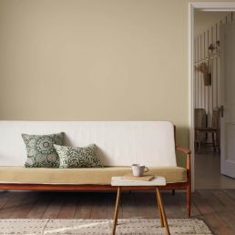 Thames Reeds Signature Emulsion Paint Thames Reeds