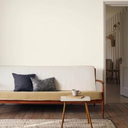 The Firms White Signature Emulsion Paint The Firms White