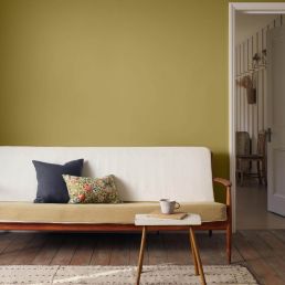 Twining Vine Signature Emulsion Paint Twining Vine
