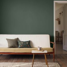 Wooded Dell Signature Emulsion Paint Wooded Dell