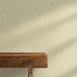 Standen Wallpaper Canvas