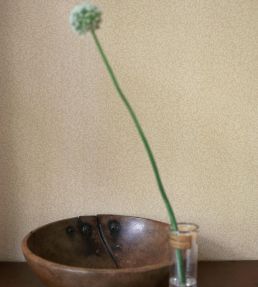 Standen Wallpaper Fennel