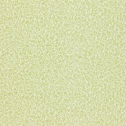 Standen Wallpaper Fennel