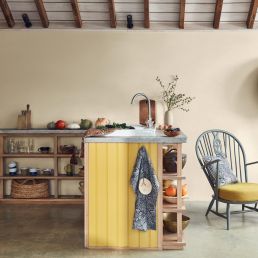 Sunflower Signature Emulsion Paint Sunflower