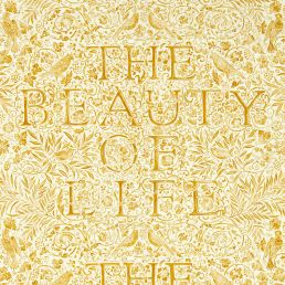 The Beauty of Life Wallpaper Sunflower