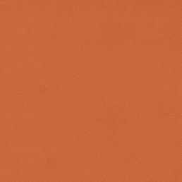 Wardle Velvet Fabric Redhouse