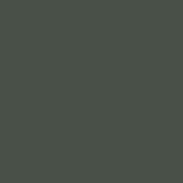 Wooded Dell Signature Emulsion Paint Wooded Dell