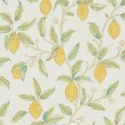 Lemon Tree Wallpaper Bay Leaf