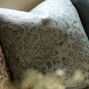 Chamomile Fabric Bayleaf