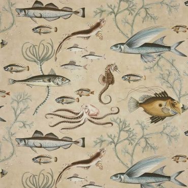 Dory Wallpaper Vellum