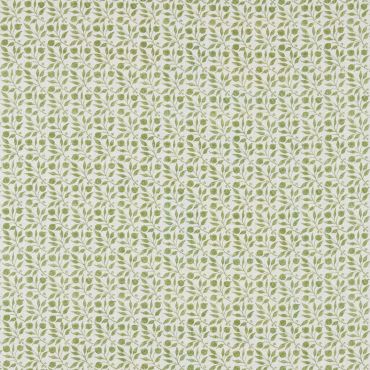 Rosehip Fabric Thyme
