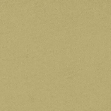 Wardle Velvet Fabric Citrus Stone