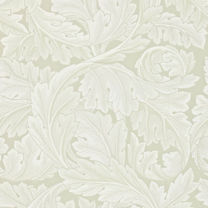 Acanthus Wallpaper Chalk