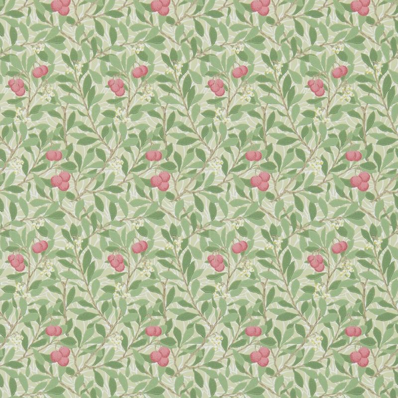 Arbutus Wallpaper Olive/Pink