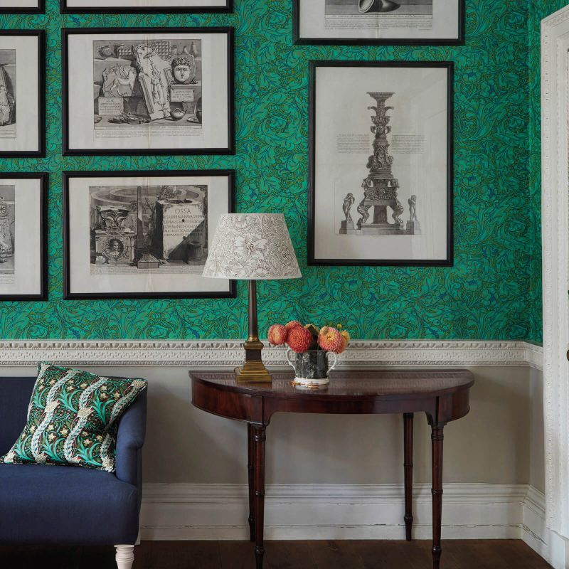 Bachelors Button Wallpaper Olive/Turquoise