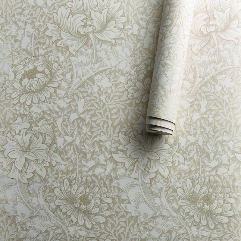 Chrysanthemum Wallpaper Chalk