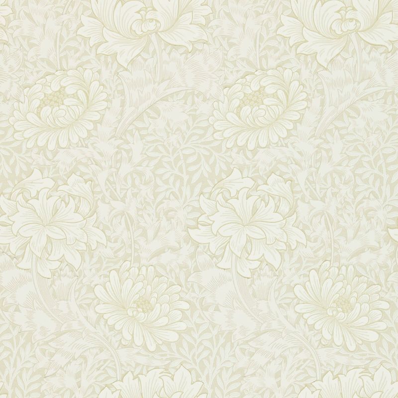 Chrysanthemum Wallpaper Chalk