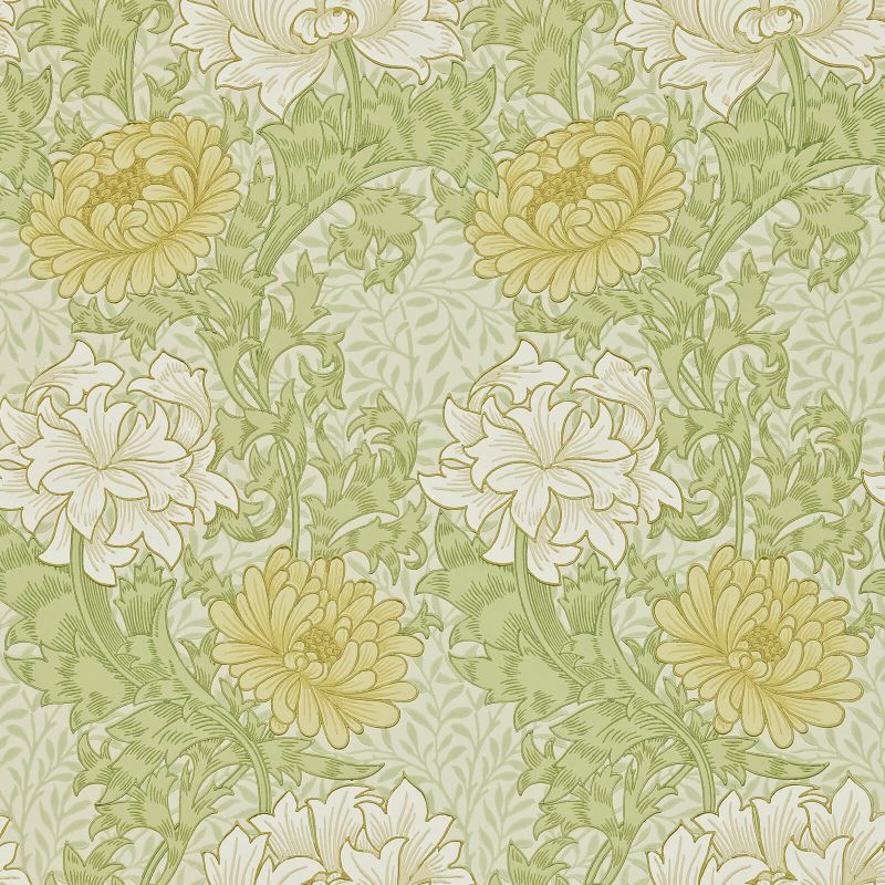 Chrysanthemum Wallpaper Pale Olive