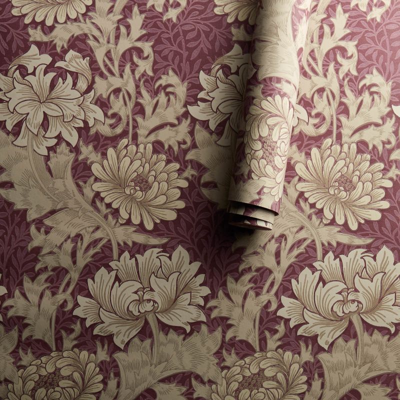 Chrysanthemum Wallpaper Wine