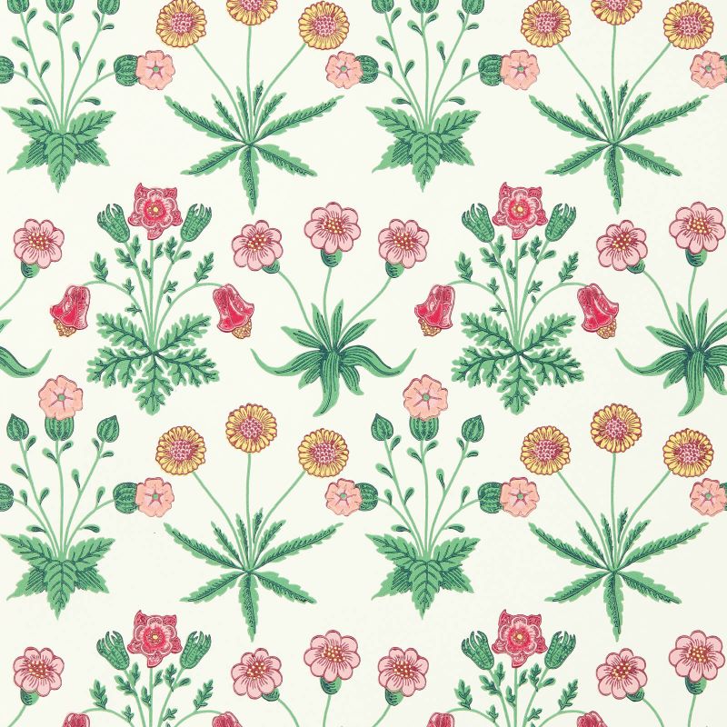 Daisy Wallpaper Strawberry Fields