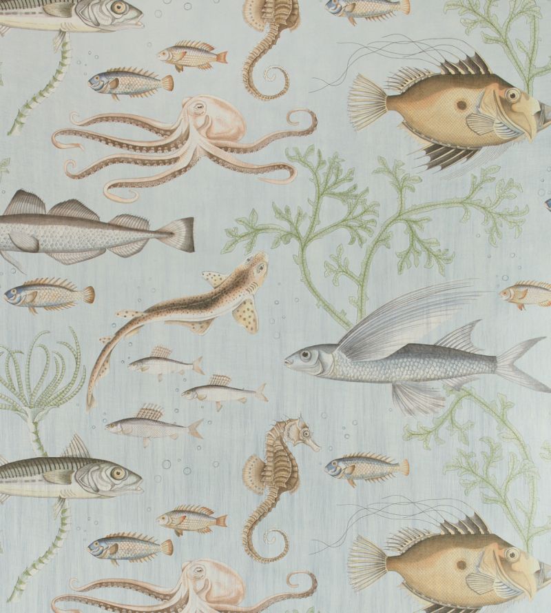 Dory Gigantica Wallpaper Seaglass