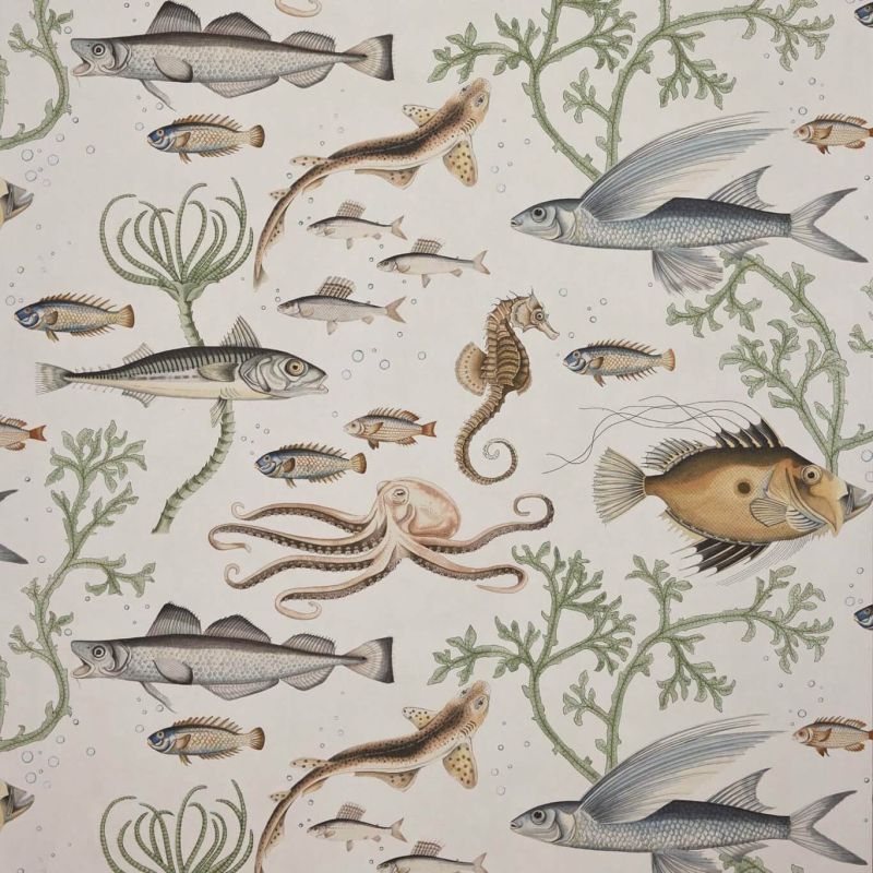 Dory Wallpaper Botanica