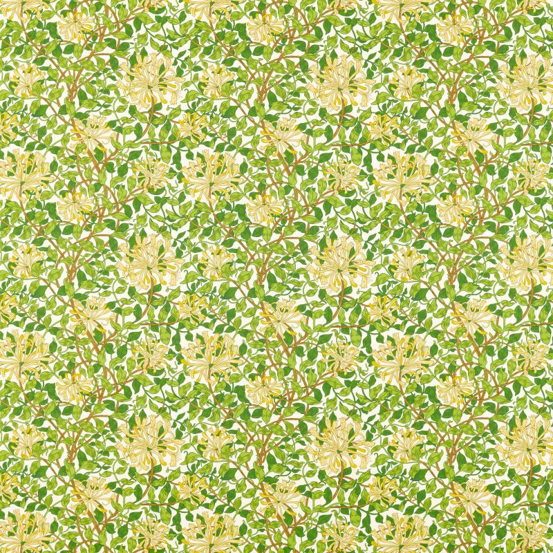 Honeysuckle Fabric Cream/Chocolate