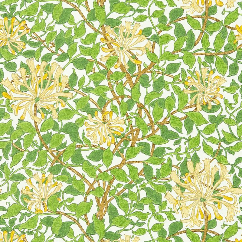 Honeysuckle Wallpaper Cream/Chocolate