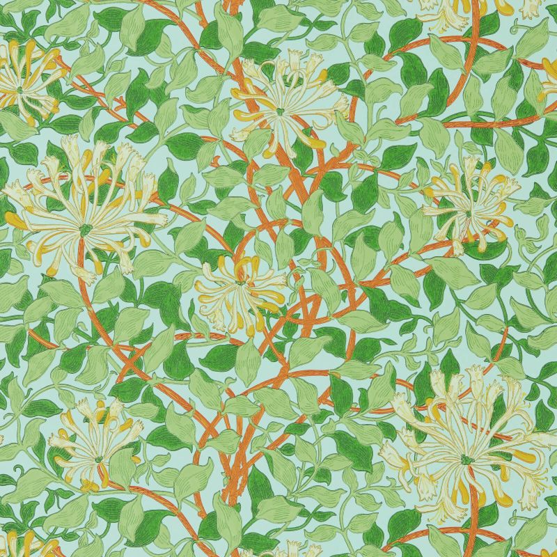 Honeysuckle Wallpaper Sky/Burnt Orange