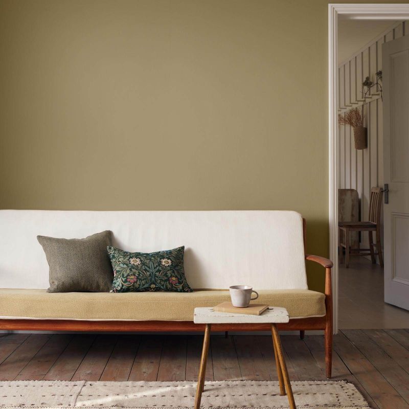Olive Fruit Eggshell Paint Olive Fruit