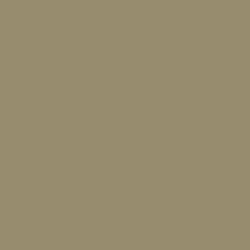 Olive Fruit Signature Emulsion Paint Olive Fruit