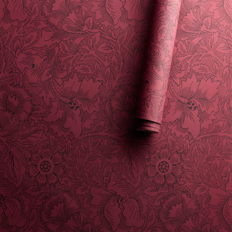 Poppy Wallpaper Claret