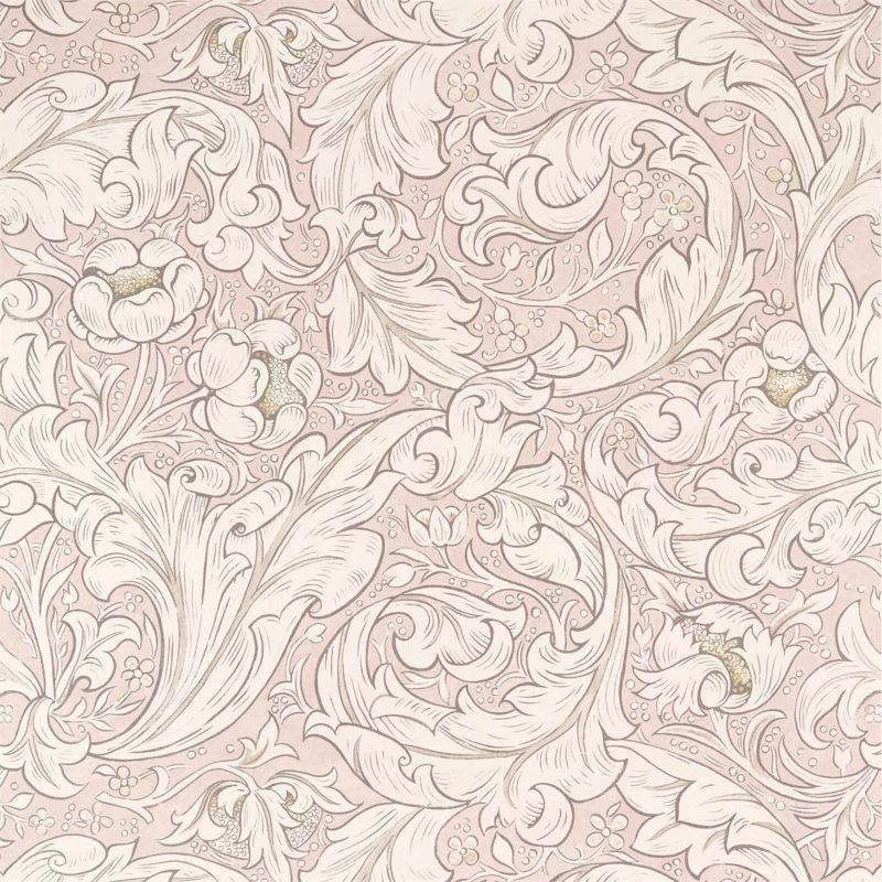 Pure Bachelors Button Wallpaper Faded Sea Pink