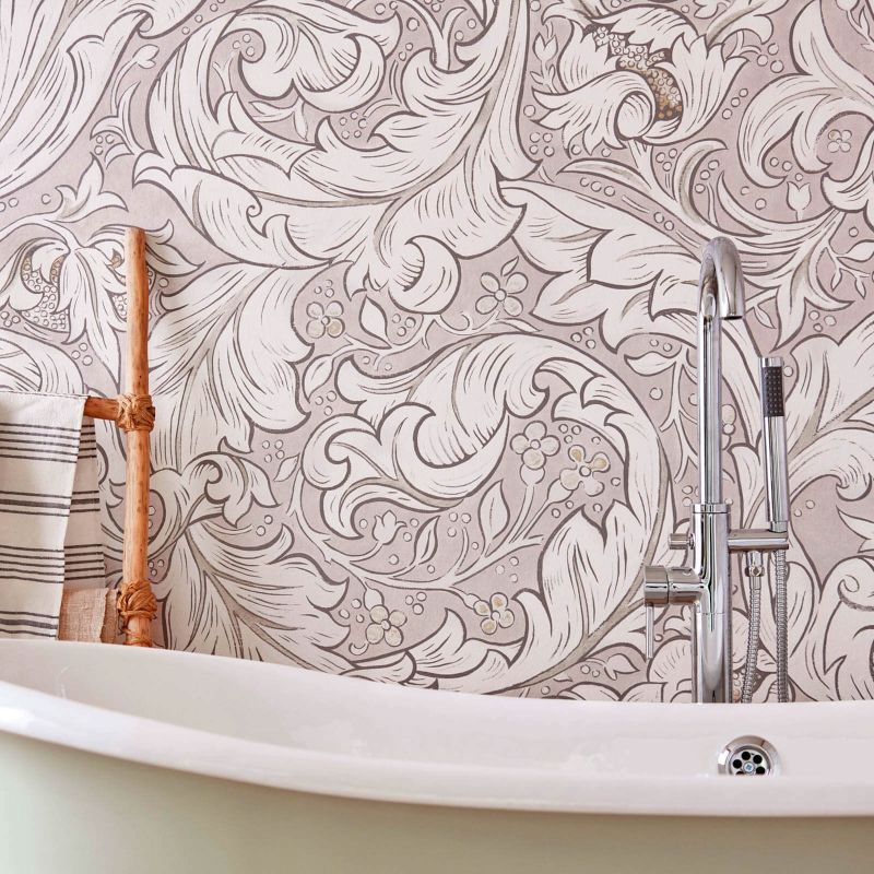 Pure Bachelors Button Wallpaper Grey Blue