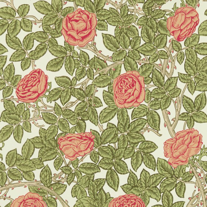 Rambling Rose Wallpaper Twining Vine