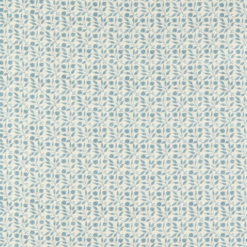Rosehip Outdoor Fabric Mineral Blue