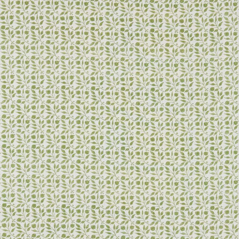 Rosehip Fabric Thyme