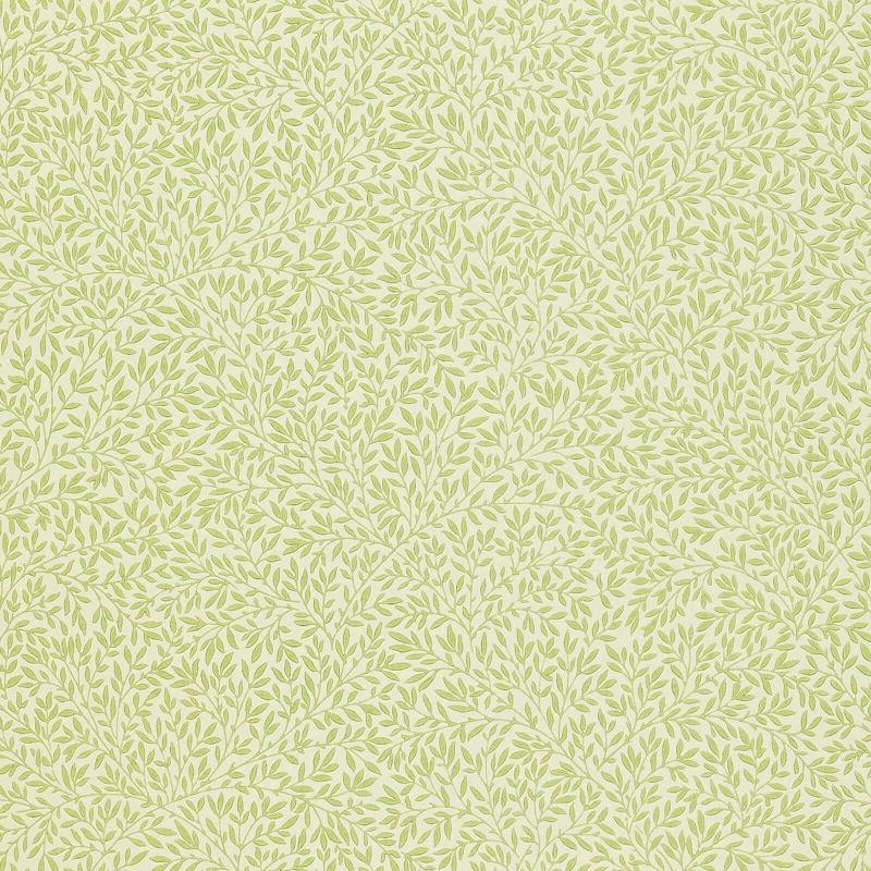 Standen Wallpaper Fennel