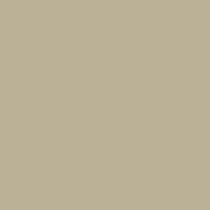 Thames Reeds Signature Emulsion Paint Thames Reeds